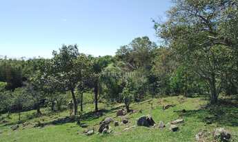 Imagem 5: Terreno à venda no bairro Gamboinha - Paulo Lopes/SC