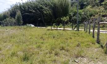 Imagem 5: Terreno próximo ao centrinho do Rosa