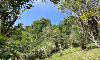 Imagem 7: Terreno à venda na Praia do Rosa