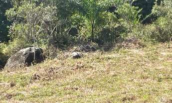 Imagem 6: Terreno à venda no bairro Ribeirão - Paulo Lopes/SC