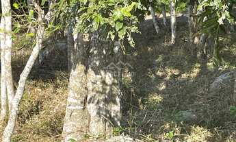 Imagem 4: Terreno à venda no bairro Ribeirão - Paulo Lopes/SC