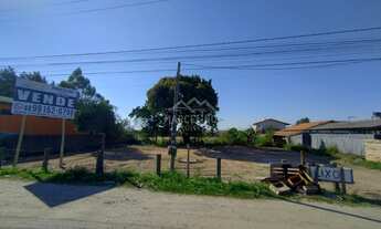 Imagem 5: Terreno Frente BR 101