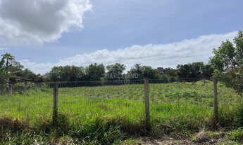 Imagem: Terreno à venda no bairro Ibiraquera