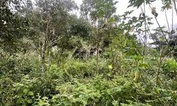 Imagem 5: Terreno à venda na Praia do Rosa