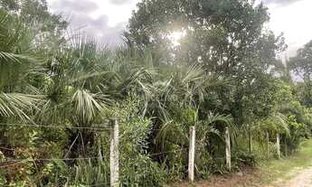 Imagem 6: Terreno à venda na Praia do Rosa