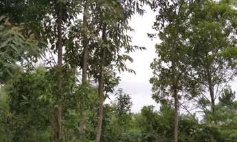 Imagem 3: Terreno com ótima localização