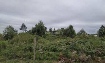 Imagem 4: Terreno com ótima localização