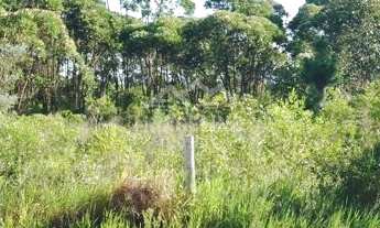 Imagem: Terreno à venda no bairro Ibiraquera