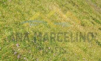 Imagem 4: Terreno com vista incrível para lagoa