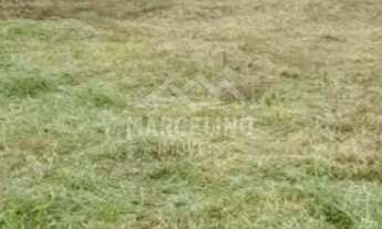 Imagem: Terreno no Alto arroio