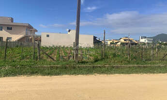 Imagem 5: Terreno Terreno em Palhocinha, Garopaba/SC