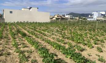 Imagem 6: Terreno Terreno em Palhocinha, Garopaba/SC
