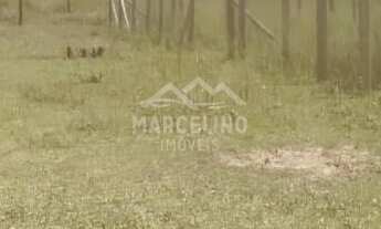 Imagem: Lote em projeto residencial