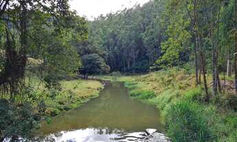 Imagem 6: Fazenda de 14 Alqueires em Pedra Azul