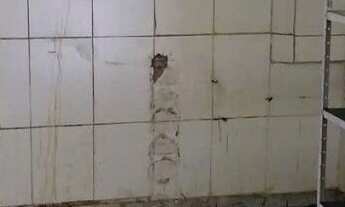 Imagem 4: Terreno para Venda em Vila Graciosa São Paulo-SP