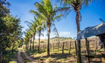 Imagem: Sítio à venda no bairro Jardim Kanimar