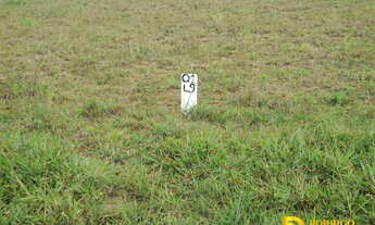 Imagem 3: Terreno Lote com Parcelamento Direto, confira