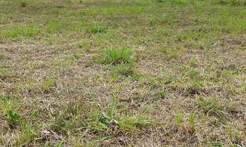 Imagem 5: Lote Terreno, parcelado direto, pronto para construir. à venda no bairro São Defende - Cri