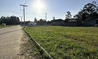 Imagem: 19 mil de entrada