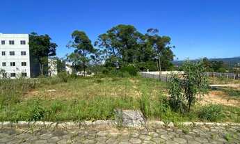 Imagem 4: Terreno a venda no Lot. Altos da Floresta