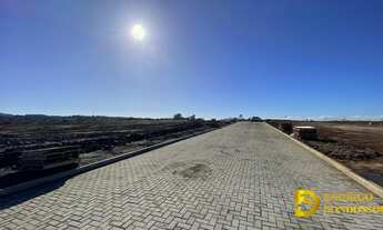 Imagem 2: Lot. Celeste Macarini - Rio Maina