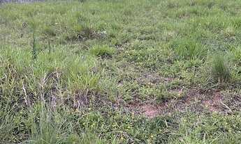 Imagem 3: Terrenos com entrada a partir de 10% e saldo em 96 meses