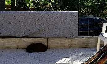 Imagem 3: Casa Sobrado com terraço