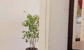 Imagem 3: Edifício Felipe de Oliveira - Petrópolis