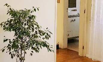 Imagem 5: Edifício Felipe de Oliveira - Petrópolis