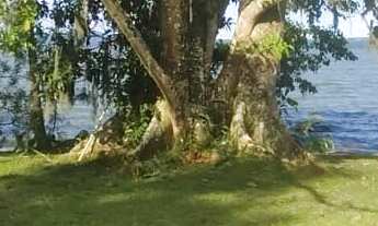 Imagem: Sítio à venda no bairro Itapeva - Imaruí/SC