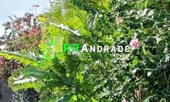 Imagem: Chácara Associação Sol Nascente