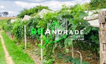 Imagem 4: Chácara Recanto Alto da Boa Vista