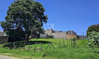 Imagem 2: Terreno a venda com 847m2 - Guarani Colombo