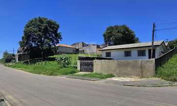 Imagem 3: Terreno a venda com 847m2 - Guarani Colombo