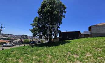 Imagem 7: Terreno a venda com 847m2 - Guarani Colombo