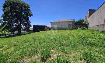 Imagem 6: Terreno a venda com 847m2 - Guarani Colombo