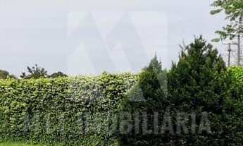 Imagem: Terreno em Santa Felicidade