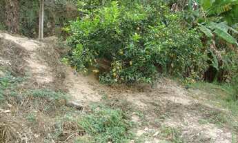 Imagem 5: Terreno com vista no Condomínio Ipê Amarelo