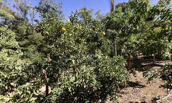 Imagem 4: Luxemburgo - ???? Fazenda à venda – 60.000 m² – Condomínio Luxemburgo, Pedro Leopoldo/MG