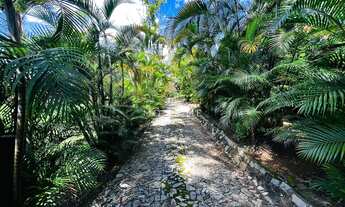 Imagem: Sitio de 5300m2 no Condominio Ipê Amarelo