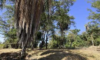 Imagem 7: Solar das Palmeiras - Terreno em Condomínio em Condomínio Solar das Palmeiras, Esmeraldas