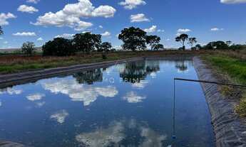 Imagem 6: ???? Fazenda à Venda – 100 Hectares – Região do Paraopeba (BR-040