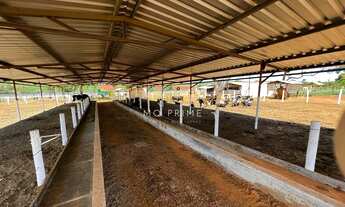 Imagem 3: ???? Fazenda à Venda – 100 Hectares – Região do Paraopeba (BR-040