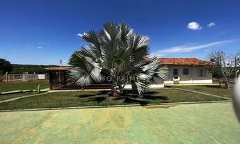 Imagem 5: ???? Fazenda à Venda – 100 Hectares – Região do Paraopeba (BR-040