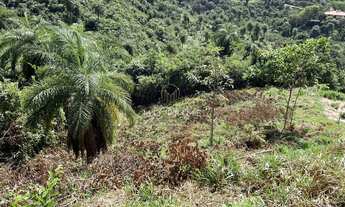 Imagem 2: Terreno Fundo para um lago no Condomínio Solar das Palmeiras