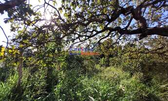 Imagem 4: Lote em Mateus Leme com 375m²