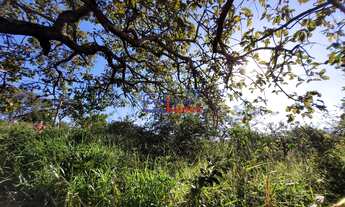 Imagem 2: Lote em Mateus Leme com 375m²