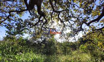 Imagem 7: Lote em Mateus Leme com 375m²