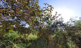 Imagem 5: Lote em Mateus Leme com 375m²