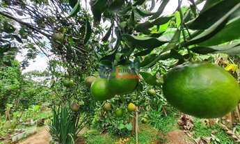 Imagem 4: Lote em Juatuba Terreno / lote com venda por R$75.000